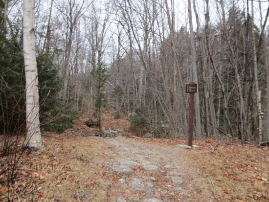 The Mt. Tecumseh Trail trailhead