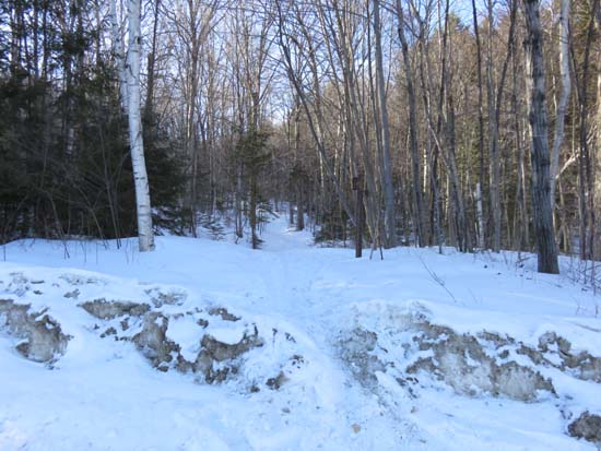 The Mt. Tecumseh Trail trailhead