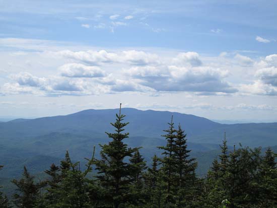 Looking at Mt. Moosilauke from near the summit of West Tecumseh - Click to enlarge
