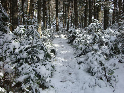 The Kinsman Ridge Trail between North Kinsman and Northeast Cannonball