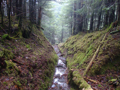 The Kinsman Ridge Trail between North Kinsman and Northeast Cannonball