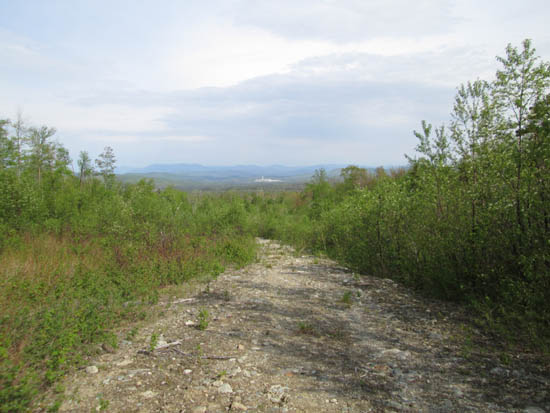 Looking down the logging road