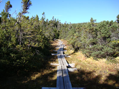 The Carter-Moriah Trail on the way to North Carter