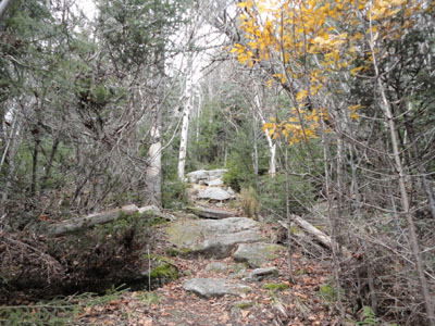 The New Path to North Doublehead
