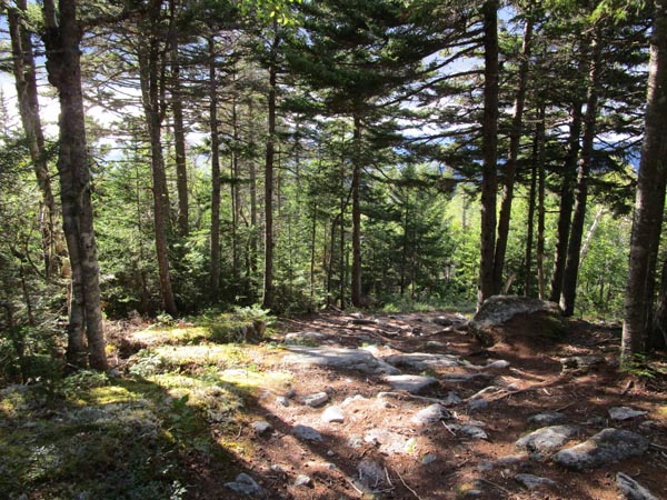 Descending the Doublehead Ski Trail
