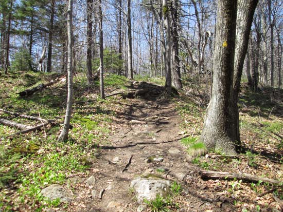 The Wapack Trail between the Packs