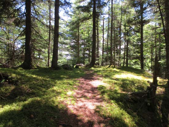 The Old Summer Club Trail on the way to North Percy