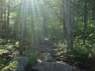 Looking up the Sugarloaf Trail