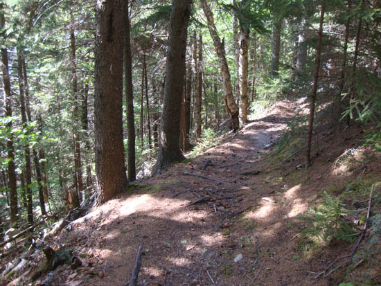 The Sugarloaf Trail