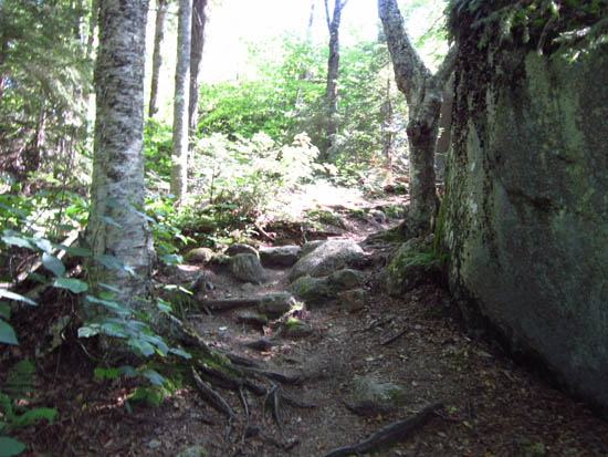 The Sugarloaf Trail
