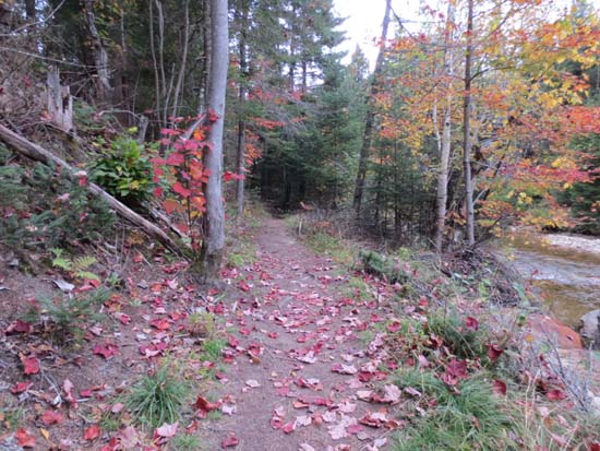The Trestle Trail