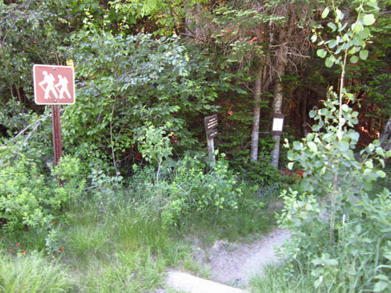 The Trestle Trail trailhead on Zealand Road