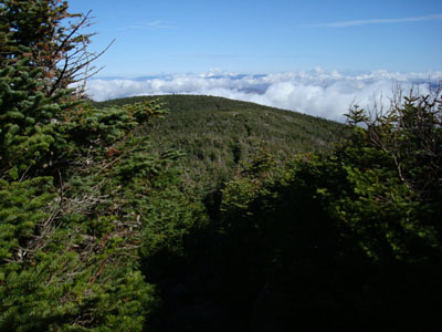 Looking out at the North Twin Spur Trail on the way to North Twin Mountain
