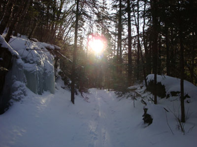 Looking up the North Twin Trail