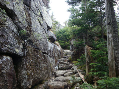 The North Twin Spur Trail on the way to North Twin Mountain