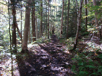 The North Twin Trail