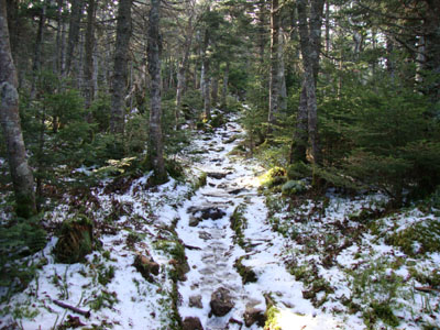 The North Twin Trail