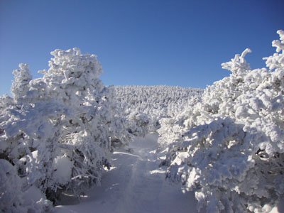 The North Twin Trail