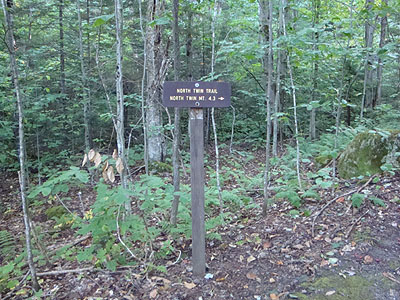 The North Twin Trail at the end of Haystack Road
