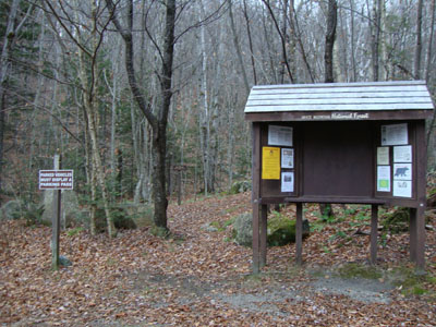 The North Twin Trail at the end of Haystack Road