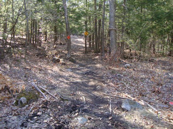 The Class 6 Road Trail trailhead on Mountain Road
