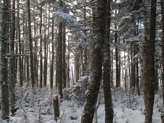 Notch Mountain