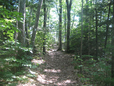 Looking up the trail to the Oak Hill ledges