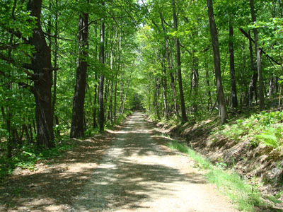 The Oak Hill Summit Road