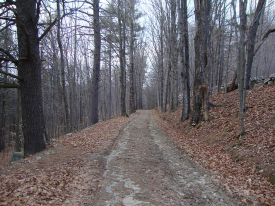 Looking up the road to Oak Hill