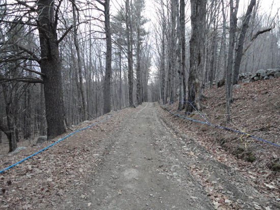 Looking up the road to Oak Hill