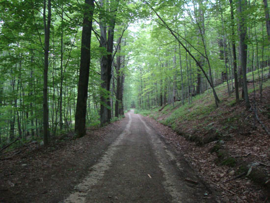 The road to Oak Hill