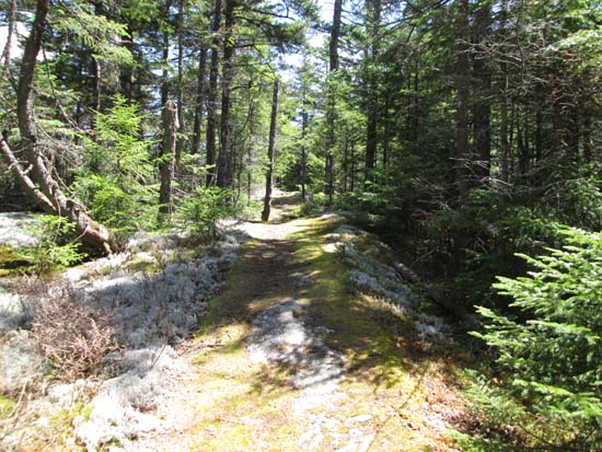 The Skyland Trail between the peaks