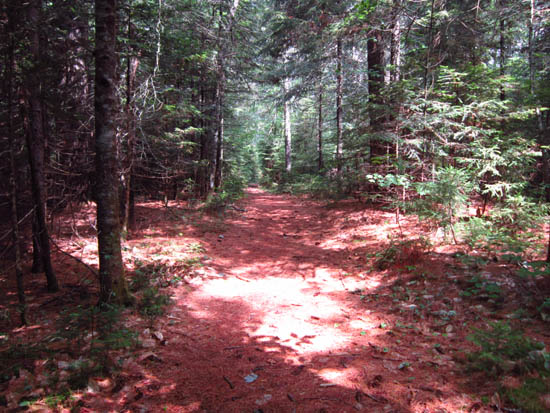 The Sawyer Pond Trail