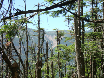 Slight views of the Franconia Ridge from near the summit of Owl's Head - Click to enlarge