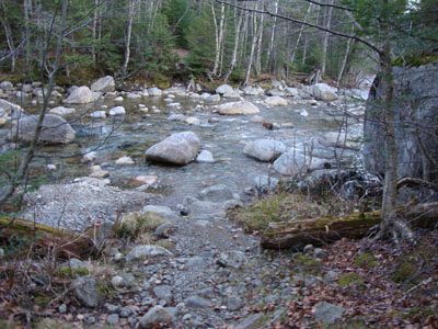 The largest water crossing on the Lincoln Brook Trail - apparently running low!