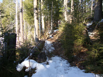 The Black Pond Trail