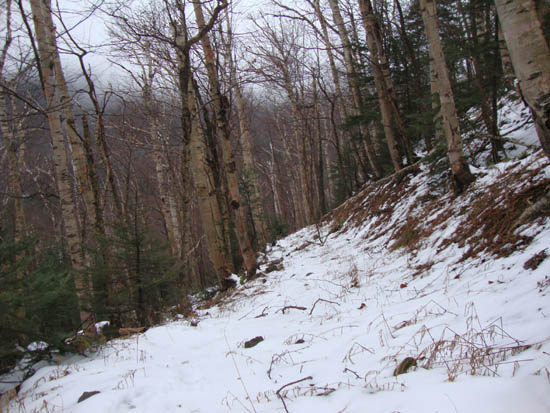 The birch glade, south of the slide
