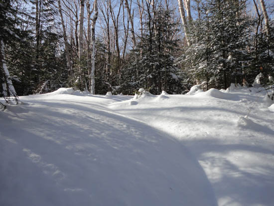 The Lincoln Brook Trail