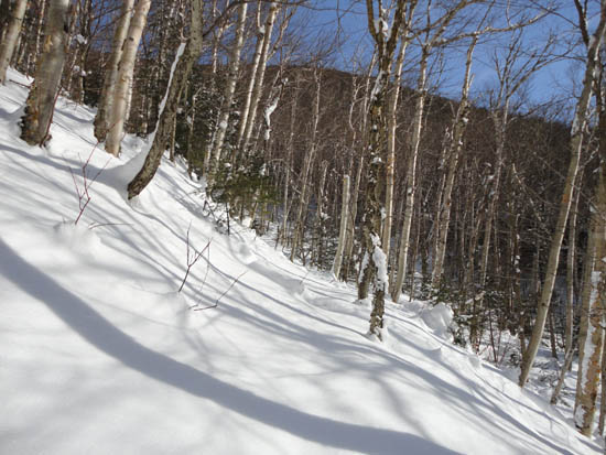 The birch glade, south of the slide