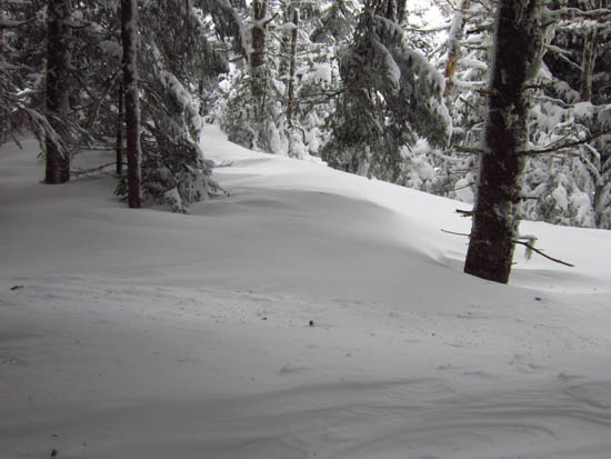 The drifted ridge
