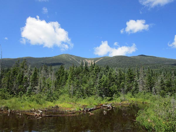 Looking at the Lincoln slide from a backcountry pond