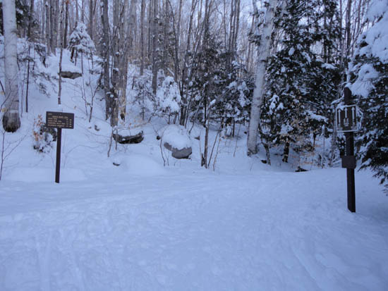 The Lincoln Woods Trail trailhead