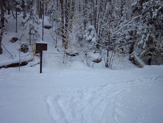 The Lincoln Woods Trail trailhead