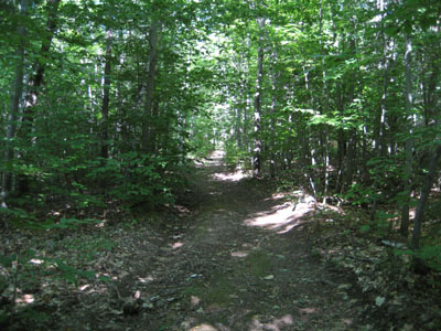 The trail to the Page Hill ledges