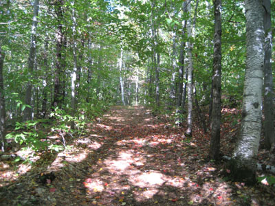 The trail to the Page Hill ledges