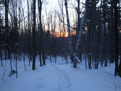 Looking down the trail to the Page Hill ledges