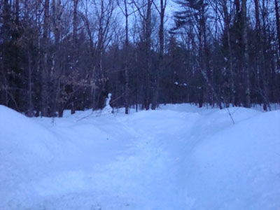 Trailhead to Page Hill on Page Hill Road