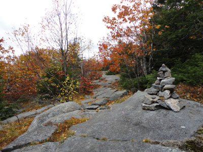 Looking up Spencer Smith Trail on the way to the Parker Mountain summit