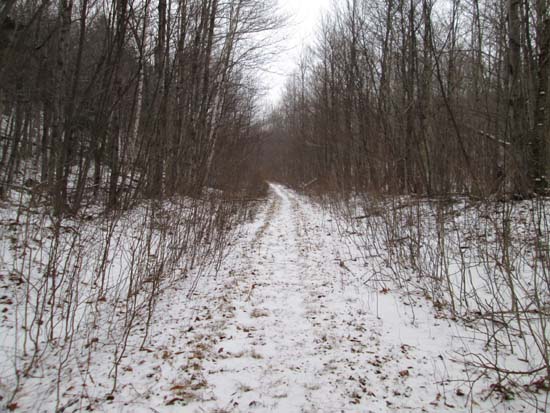 Forest Road 304A
