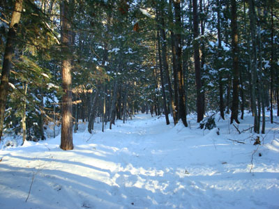 The Middle Mountain Trail